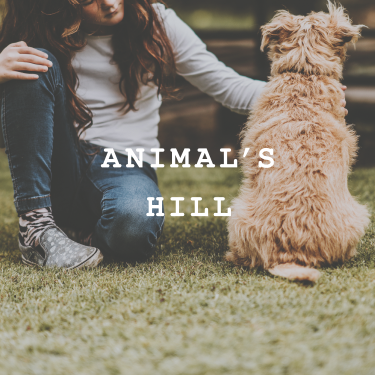 ANIMAL'S HILL